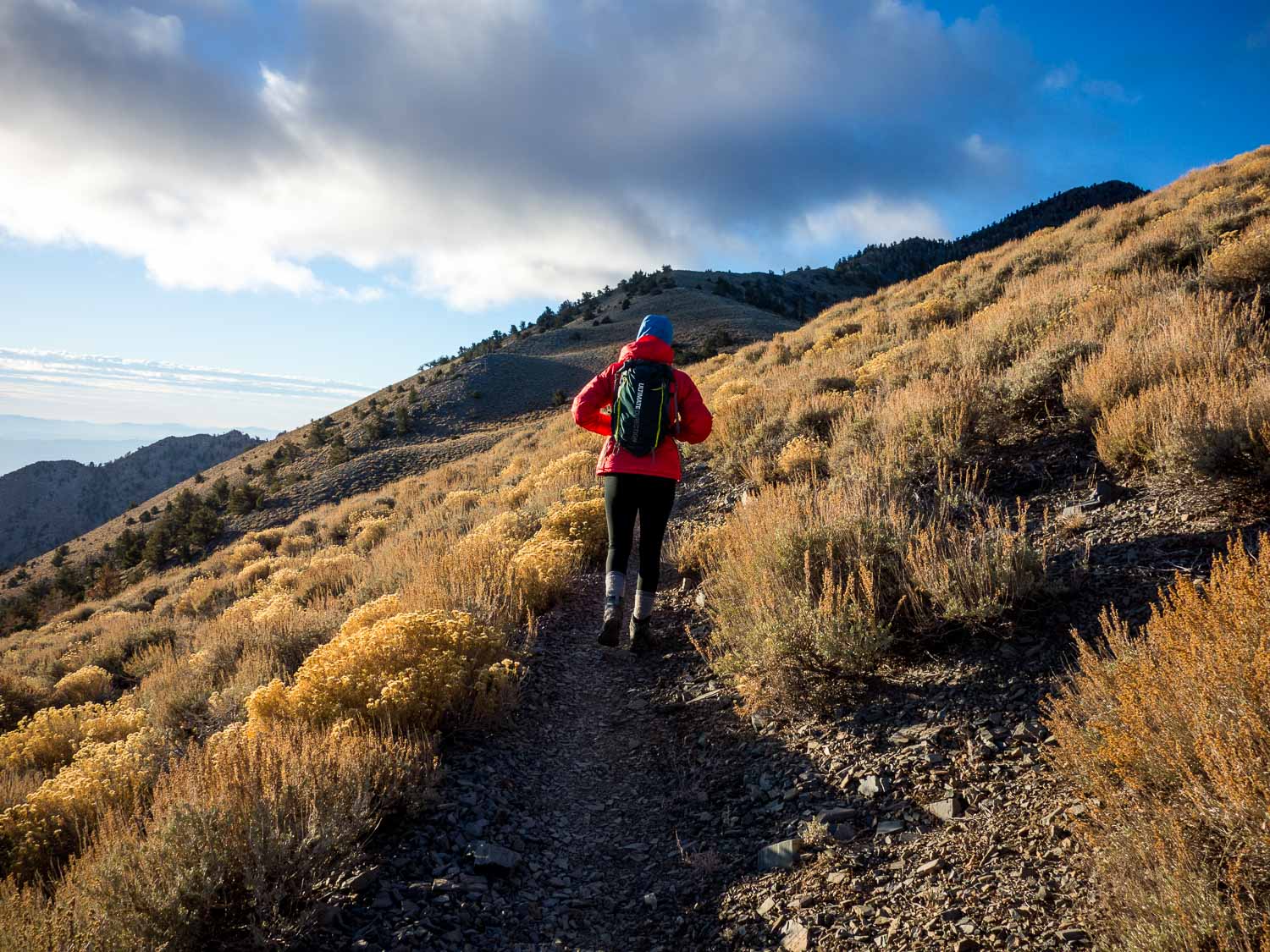 Telescope Peak Trail