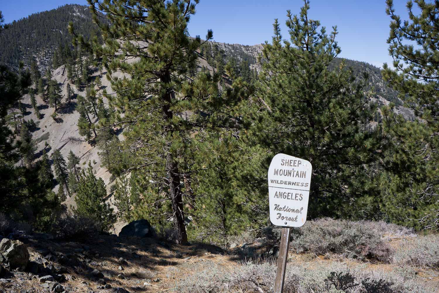 Sheep Mountain Wilderness