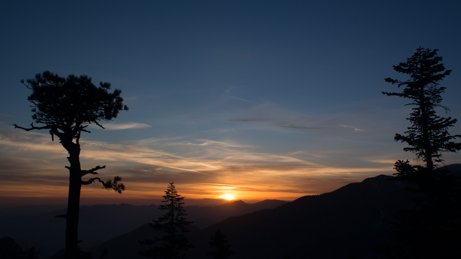 Timber Peak Sunset