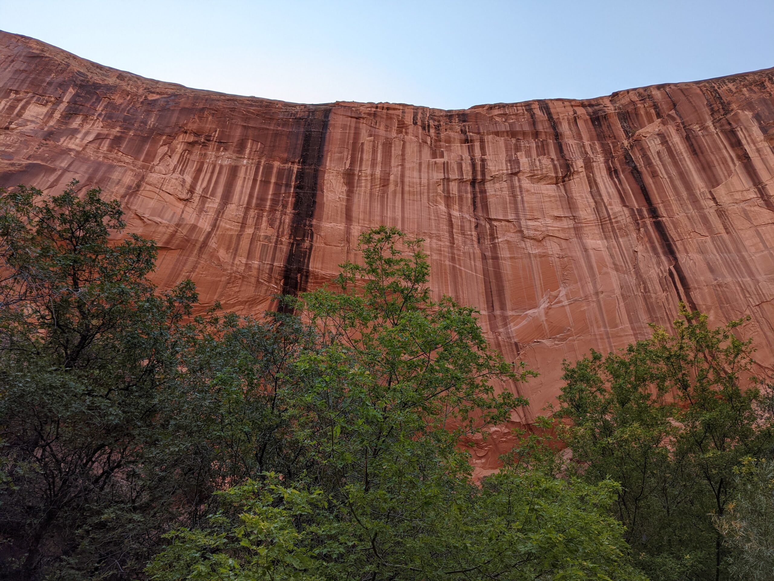 The canyon walls of Coyote Gulch 