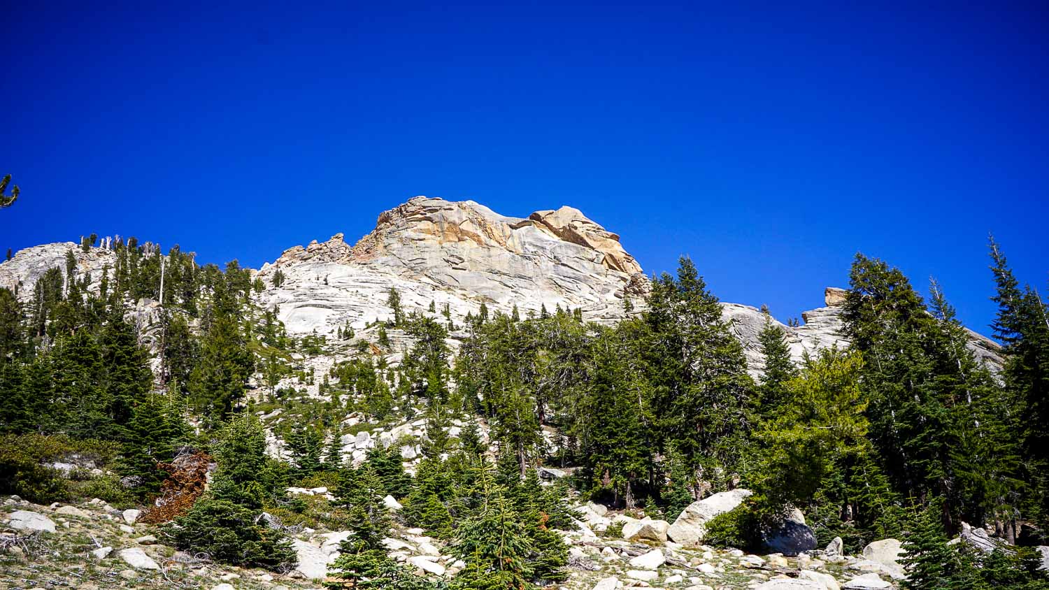 Alta Peak